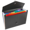 Expanding Organizer Folder