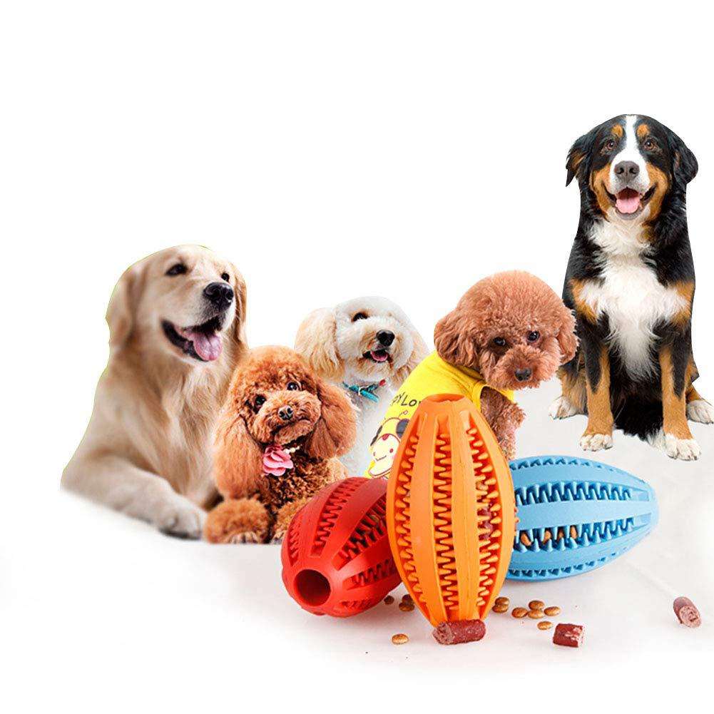 Rubber Pet Chewing Toy