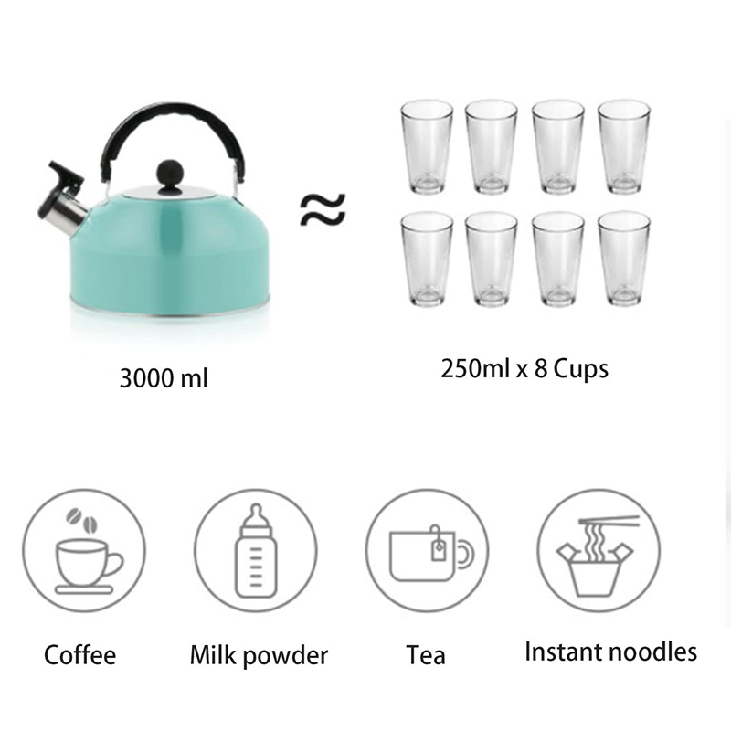 Stainless Steel Gas Heating Kettle