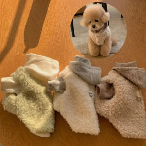 Two-legged/Hatted Pet Cloth