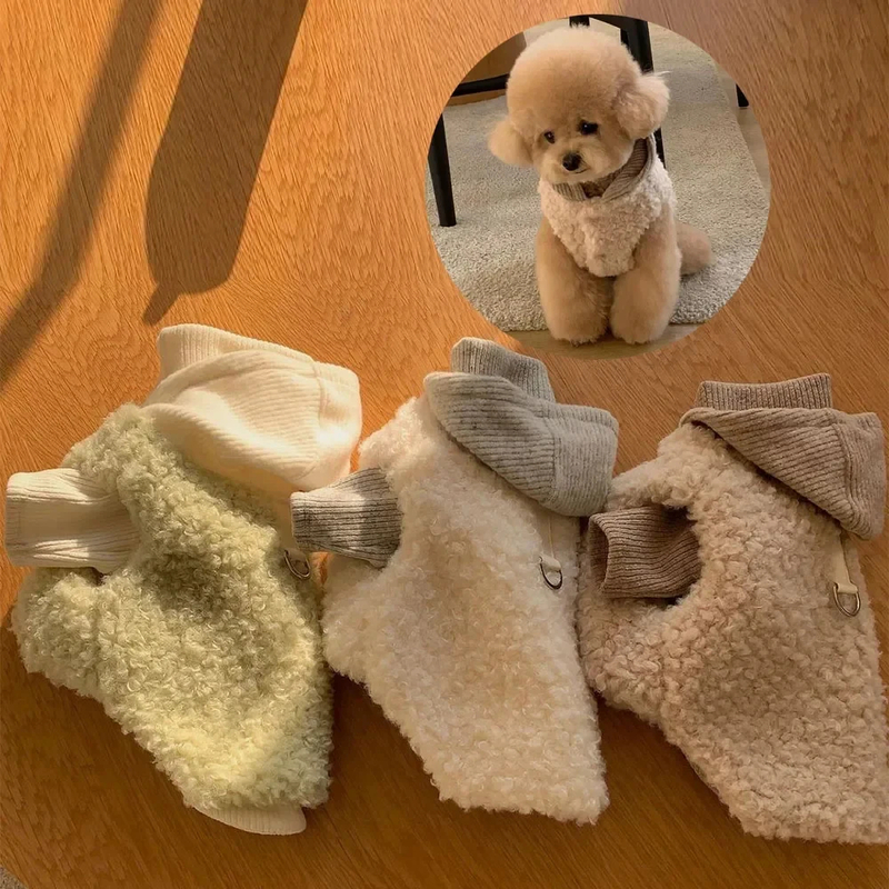 Two-legged/Hatted Pet Cloth