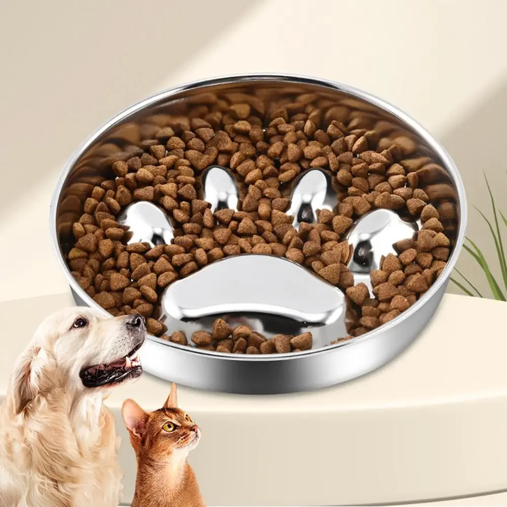 Pet Slow Feeding Bowl