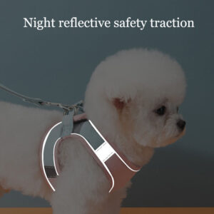 Pet Walking Chest Strap
