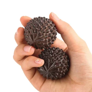 Natural Pine Wood Spiky Balls