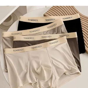 Men’s 4-Pack Silky Polyester Underwear