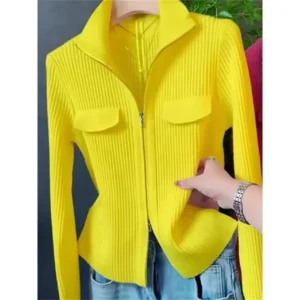 Spring/Autumn Women Knitted Sweater
