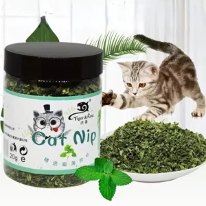 Organic 100% Natural Catnip Cat Toy