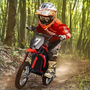 Kids 24V Electric Bike Ride