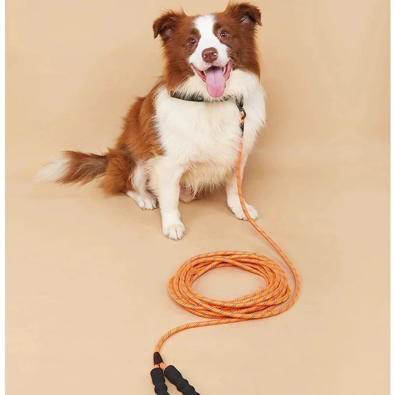 3M/5M/10M/15M/30M Soft Padded Reflective Long Dog Leash in Multiple Lengths for Small to Large Dogs with Comfortable Handle 3M/5M/10M/15M/30M Soft Padded Reflective Long Dog Leash in Multiple Lengths for Small to Large Dogs with Comfortable Handle