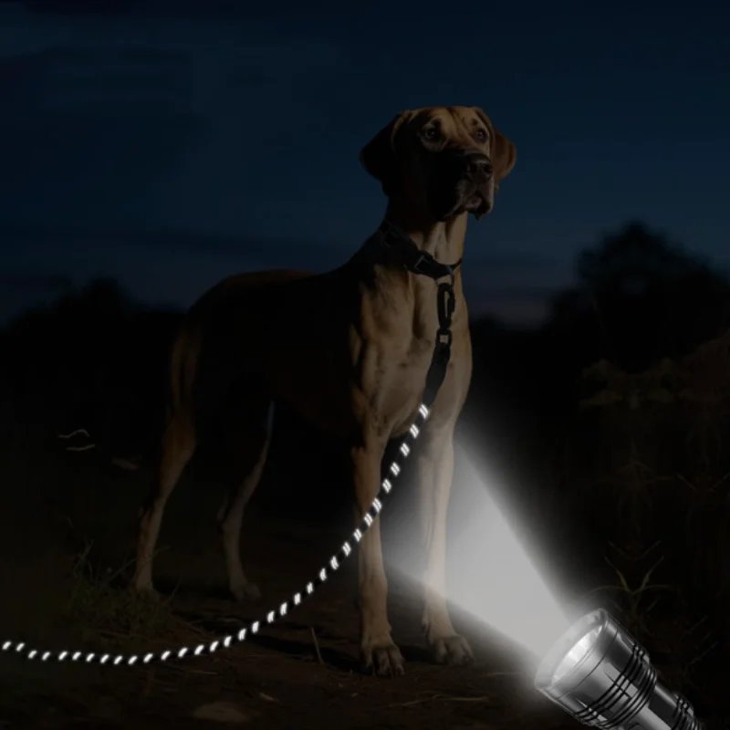 3M/5M/10M/15M/30M Soft Padded Reflective Long Dog Leash in Multiple Lengths for Small to Large Dogs with Comfortable Handle 3M/5M/10M/15M/30M Soft Padded Reflective Long Dog Leash in Multiple Lengths for Small to Large Dogs with Comfortable Handle