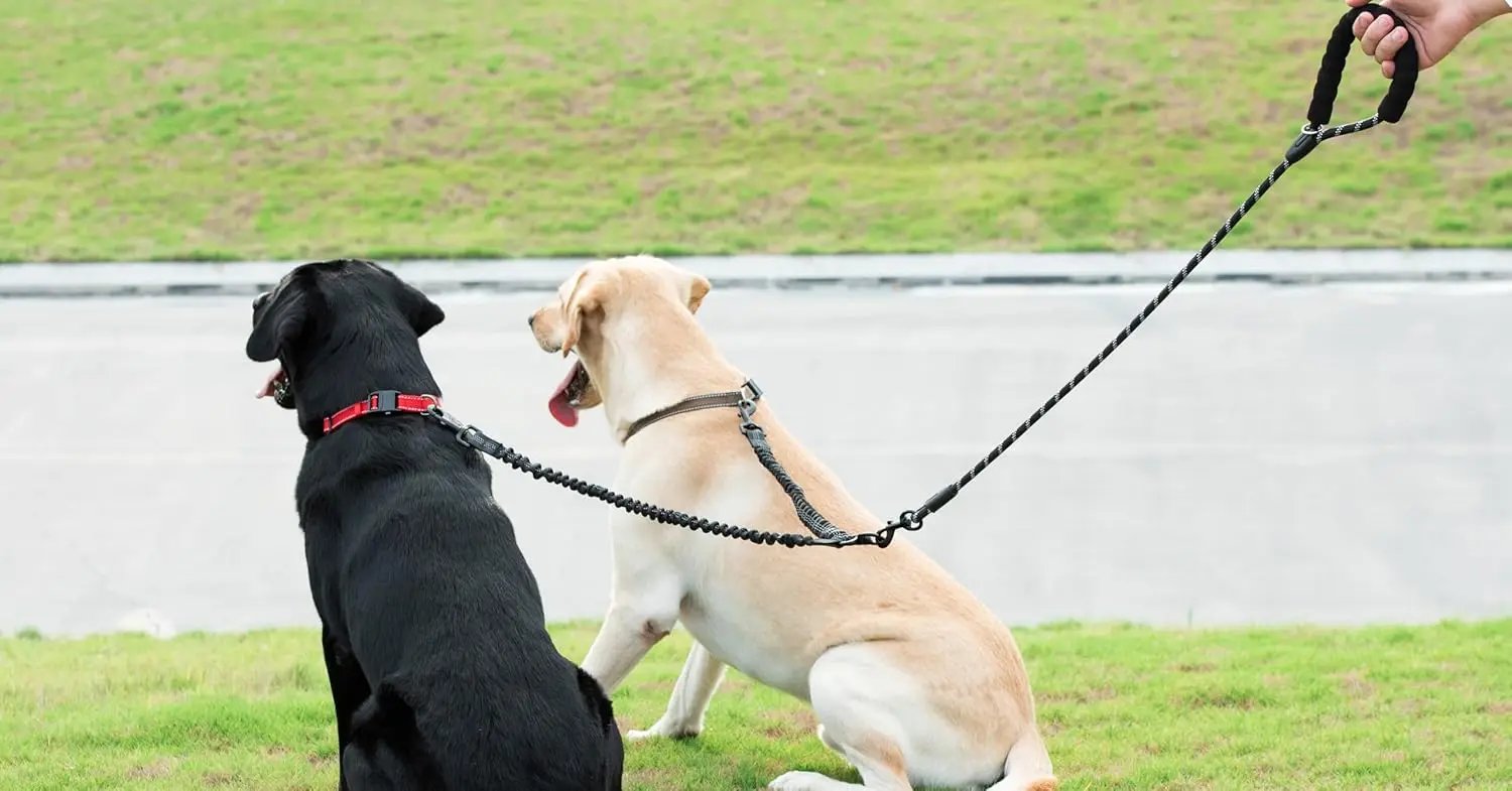 Dual Dog Leash, Double Dog Leash, 360 Swivel No Tangle Walking Leash, Shock Absorbing Bungee for Two Dogs