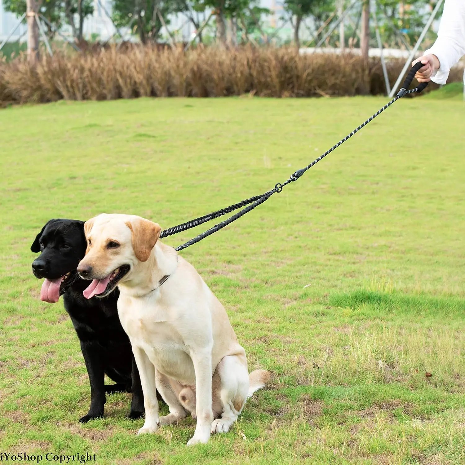 Dual Dog Leash, Double Dog Leash, 360 Swivel No Tangle Walking Leash, Shock Absorbing Bungee for Two Dogs