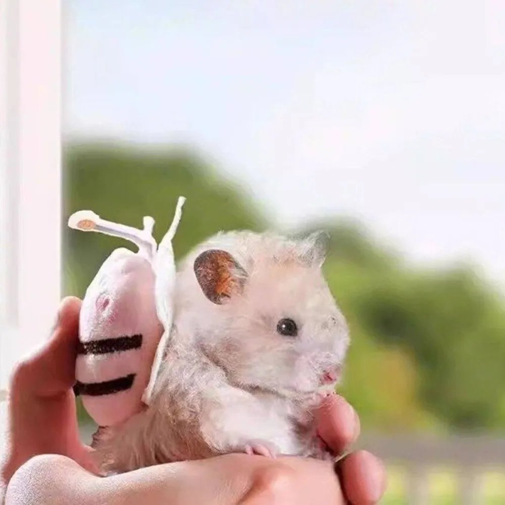 Nylon Pet Hamster Leash 1.4m Length Lightweight Small Animal Leash Adjustable Length with Bell Pet Walking Leash Pet Exercise Nylon Pet Hamster Leash 1.4m Length Lightweight Small Animal Leash Adjustable Length with Bell Pet Walking Leash Pet Exercise
