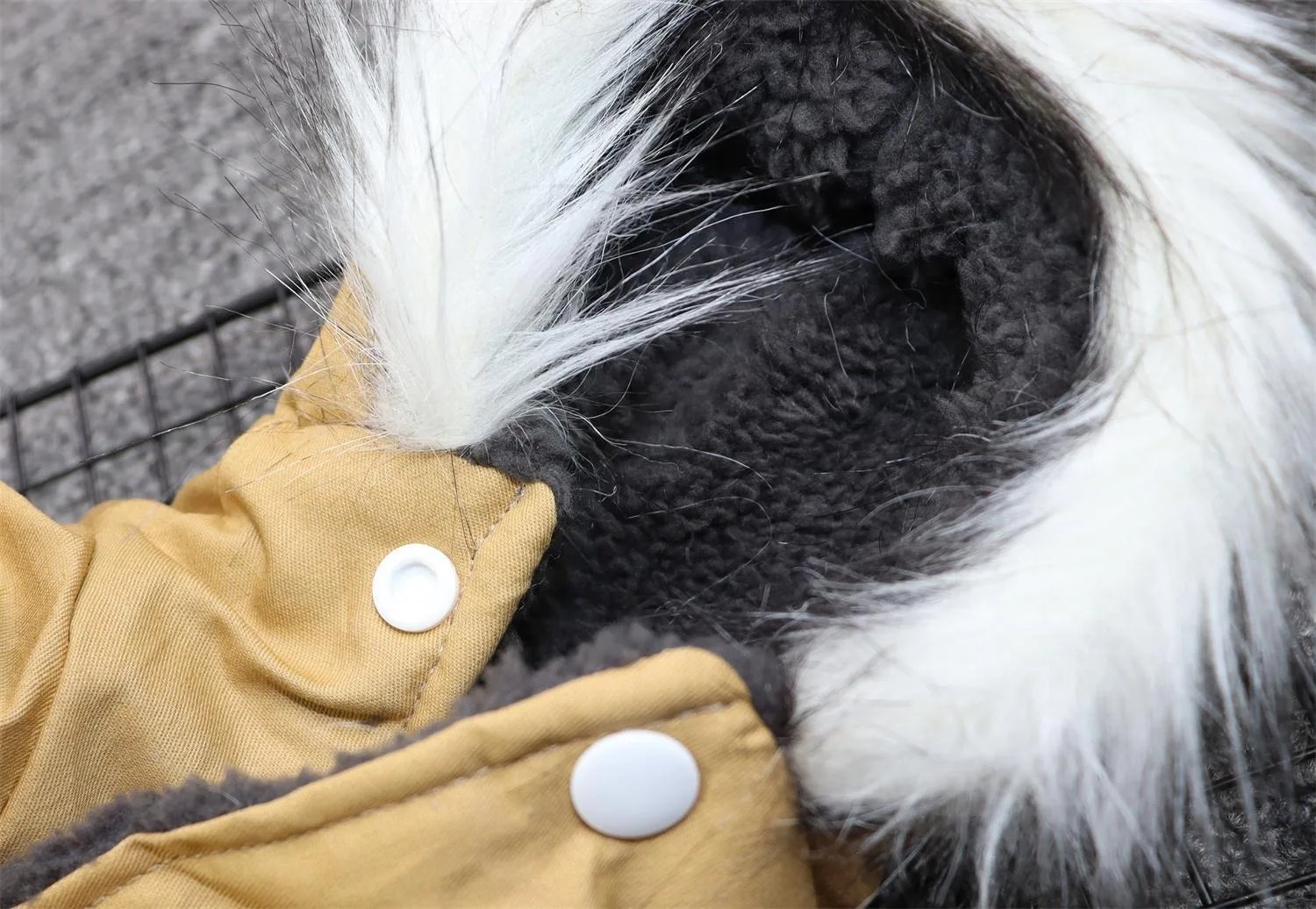 Dog Pet Winter Thickened Hiking Coat With Hooded Coat Soft And Comfortable Dog Coat Jacket Outdoor Sports Pet Clothing Dog Pet Winter Thickened Hiking Coat With Hooded Coat Soft And Comfortable Dog Coat Jacket Outdoor Sports Pet Clothing