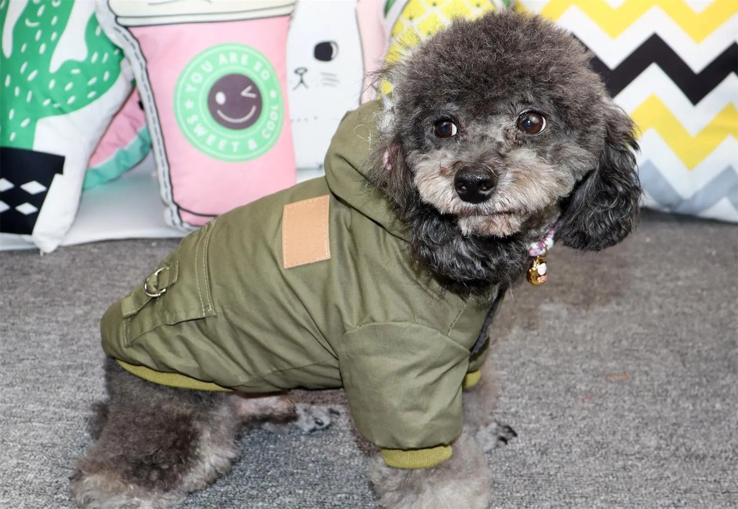 Dog Pet Winter Thickened Hiking Coat With Hooded Coat Soft And Comfortable Dog Coat Jacket Outdoor Sports Pet Clothing Dog Pet Winter Thickened Hiking Coat With Hooded Coat Soft And Comfortable Dog Coat Jacket Outdoor Sports Pet Clothing