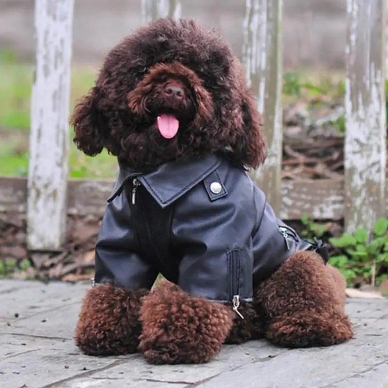 Soft Windproof Dog Jacket Puppy Outerwear Dog Clothes Pet Apparel Dog Coat Outdoor Vest For Dog Down Winter Coats Puppy