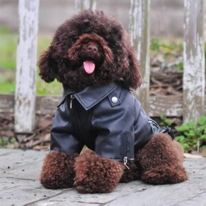 Windproof Dog Jacket for Winter