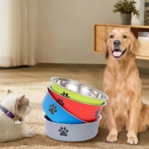 Stainless Steel Pet Water Bowl with Non-Slip Base