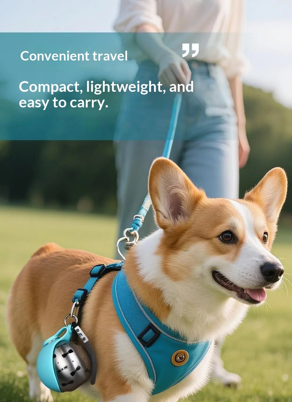 Portable Stainless Steel Pet Water Bottle with Foldable Silicone Bowl for Dogs and Cats Outdoor Walking Hiking Travel Use