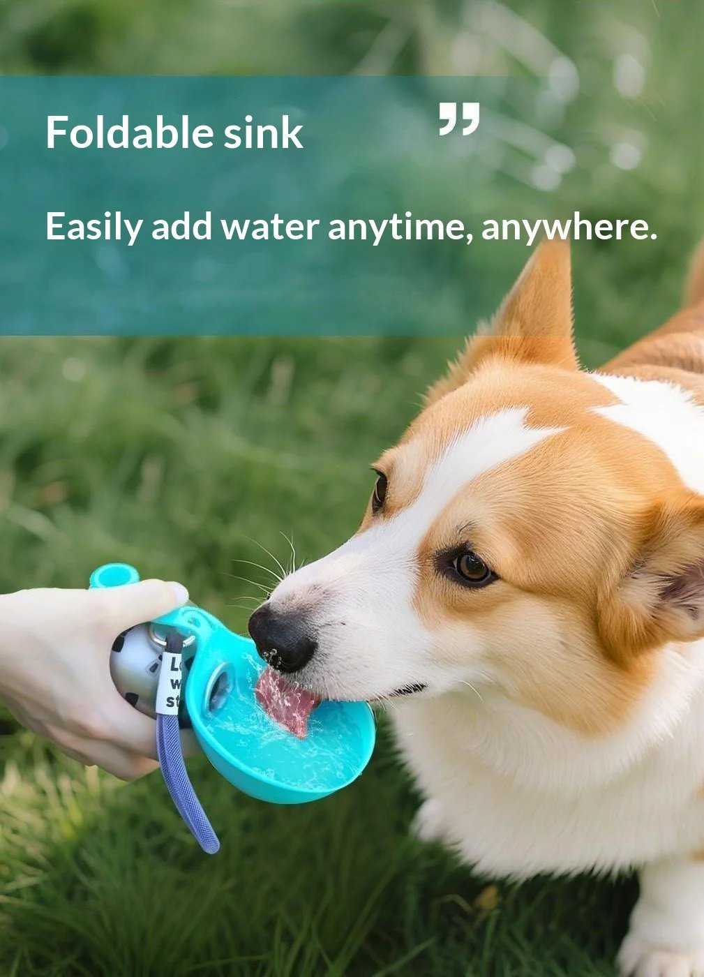 Portable Stainless Steel Pet Water Bottle with Foldable Silicone Bowl for Dogs and Cats Outdoor Walking Hiking Travel Use