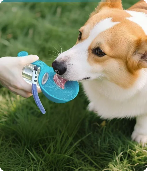 Portable Stainless Steel Pet Water Bottle with Foldable Silicone Bowl for Dogs and Cats Outdoor Walking Hiking Travel Use